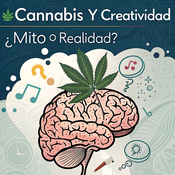 cannabis y creatividad mito o realidad